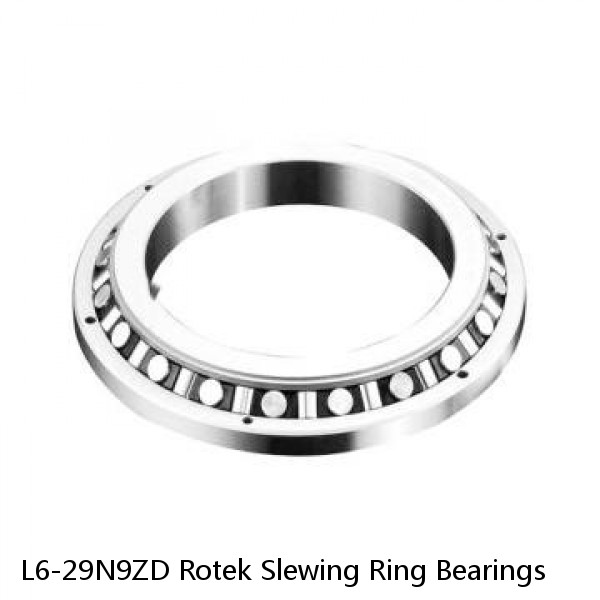 L6-29N9ZD Rotek Slewing Ring Bearings