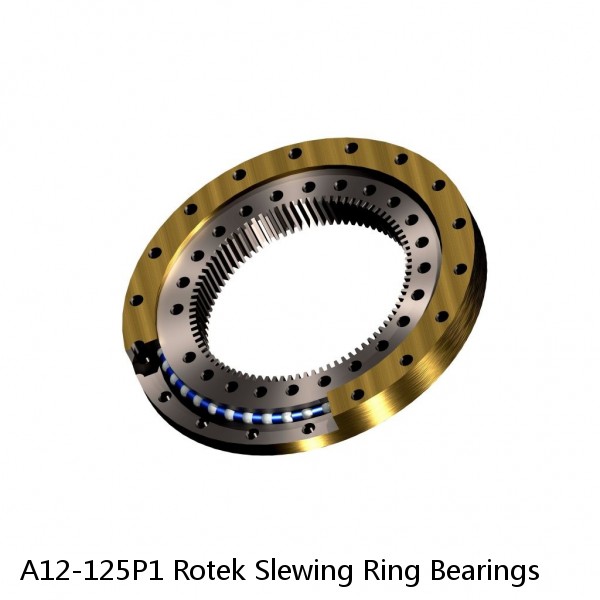 A12-125P1 Rotek Slewing Ring Bearings