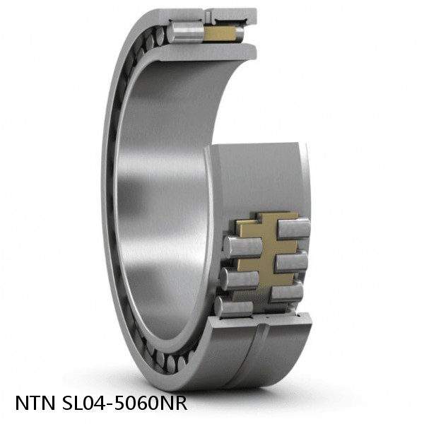 SL04-5060NR NTN Cylindrical Roller Bearing #1 small image