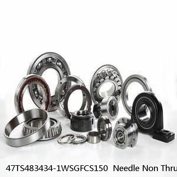 47TS483434-1WSGFCS150  Needle Non Thrust Roller Bearings #1 small image