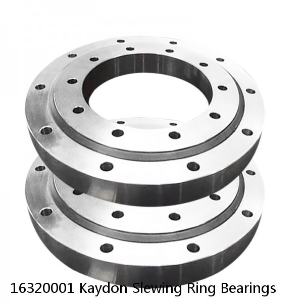 16320001 Kaydon Slewing Ring Bearings #1 small image