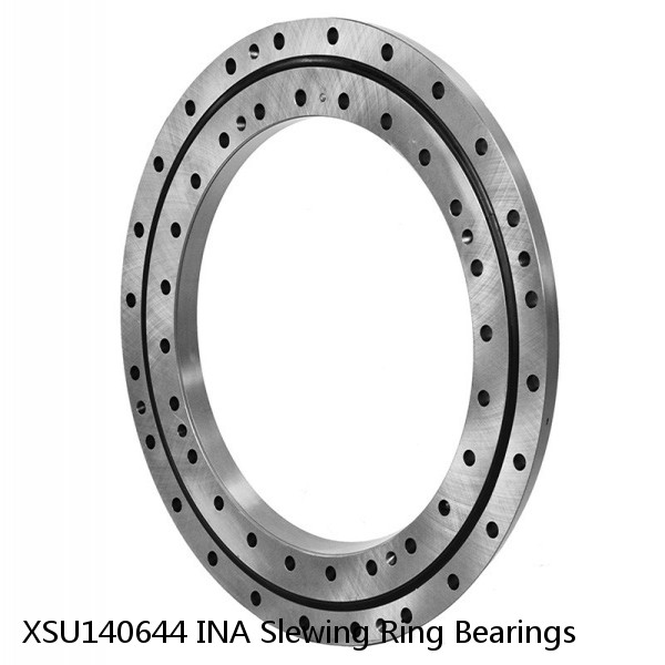 XSU140644 INA Slewing Ring Bearings #1 small image