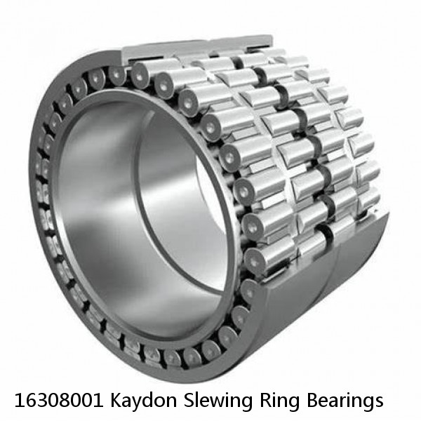 16308001 Kaydon Slewing Ring Bearings #1 small image
