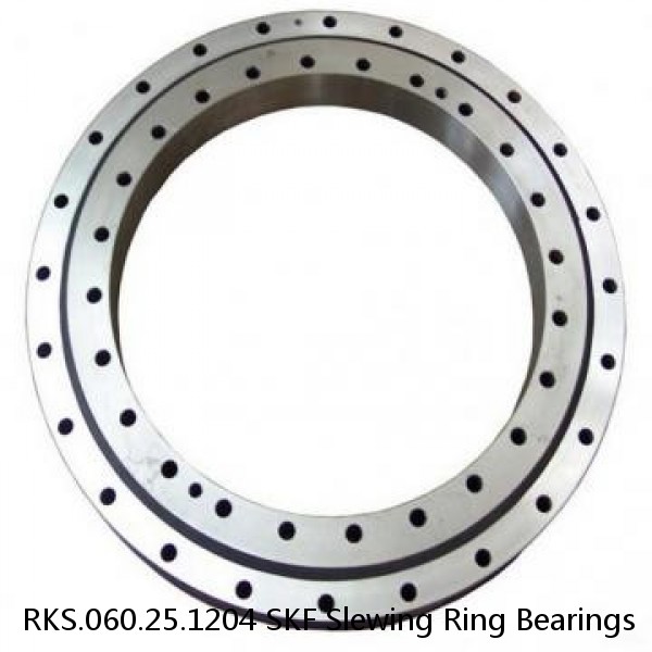 RKS.060.25.1204 SKF Slewing Ring Bearings #1 small image