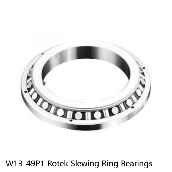 W13-49P1 Rotek Slewing Ring Bearings #1 small image