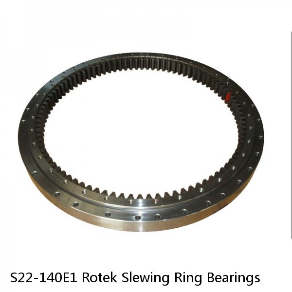 S22-140E1 Rotek Slewing Ring Bearings #1 small image