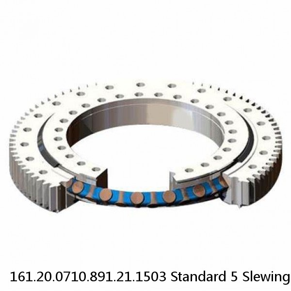 161.20.0710.891.21.1503 Standard 5 Slewing Ring Bearings
