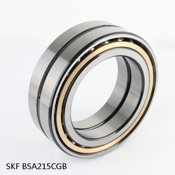 BSA215CGB SKF Brands,All Brands,SKF,Super Precision Angular Contact Thrust,BSA #1 small image