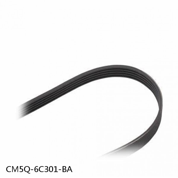 High Performance auto engine parts Air Conditioning Belt V-Ribbed Belts OEM CM5Q-6C301-BA 6PK1502 #1 small image