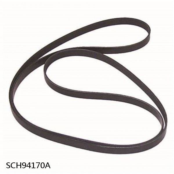 Serpentine Belt, V Belt and Timing Belt Installation Assist Tool SCH94170A New ! #1 small image