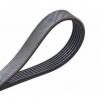 Genuine Kirby Ribbed Vacuum Cleaner Belt #1 small image