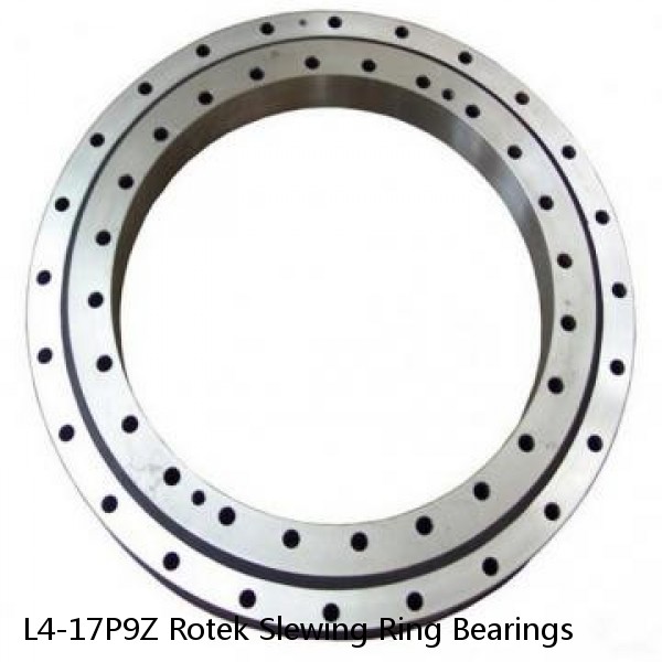 L4-17P9Z Rotek Slewing Ring Bearings #1 image