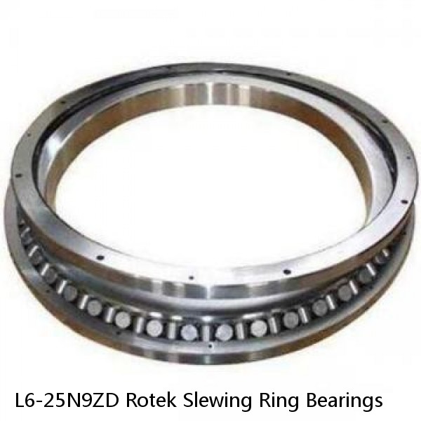 L6-25N9ZD Rotek Slewing Ring Bearings #1 image