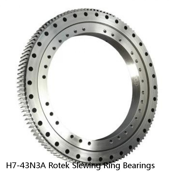 H7-43N3A Rotek Slewing Ring Bearings #1 image