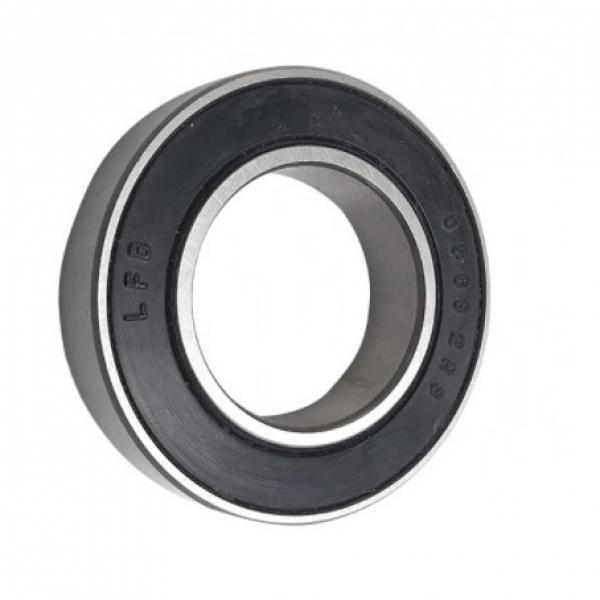 China Factory 17x35x10mm Bearing 6003 Plastic Deep Groove Ball Bearing with good price #1 image