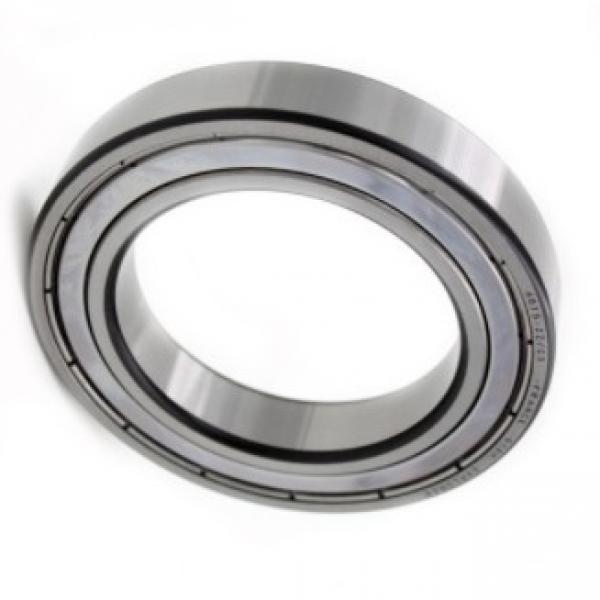 NSK motor bearings 6206DU DDU ZZ double sealed waterproof rubber ball head bearing #1 image