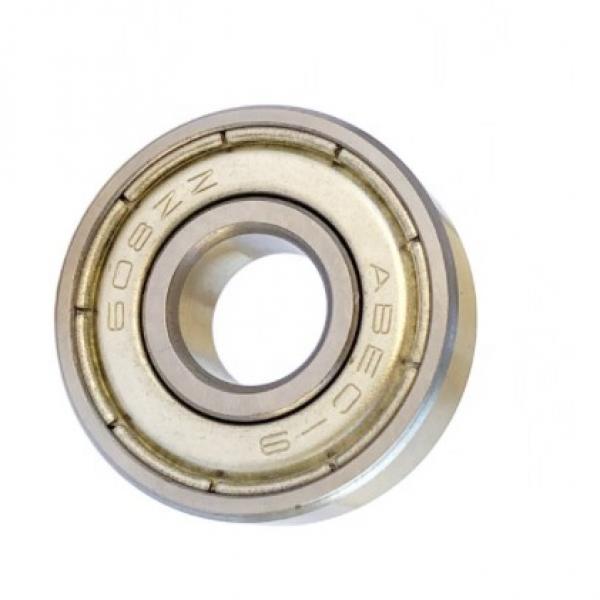 SKF NSK 6007 Deep Groove Ball Bearing for Auto Parts 6000, 6200, 6300 Series #1 image